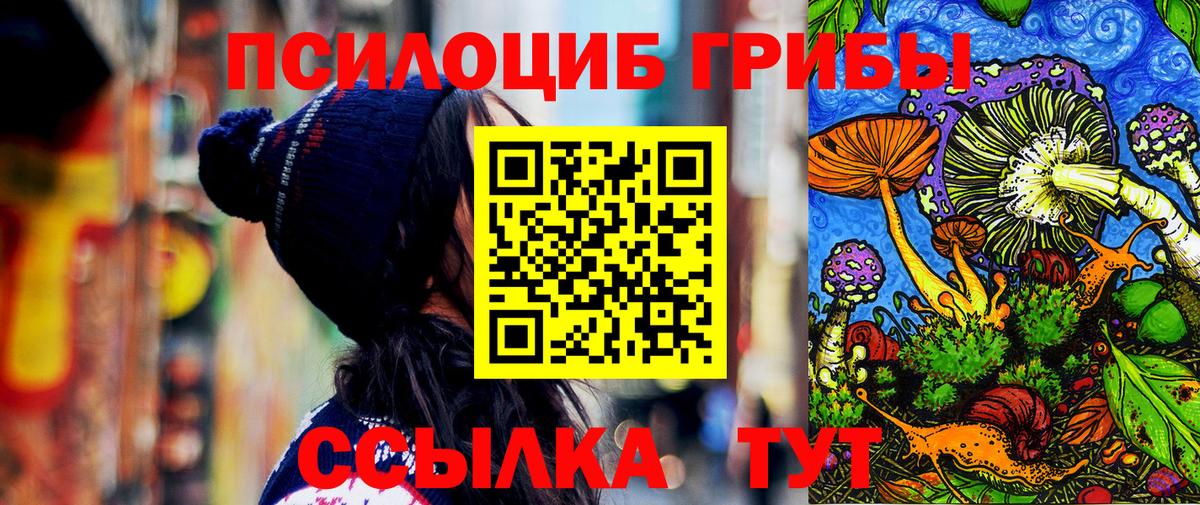 Бирск  Псилоцибиновые грибы мухоморы  Вход с VPN  Псилоцибиновые грибы Cubensis 