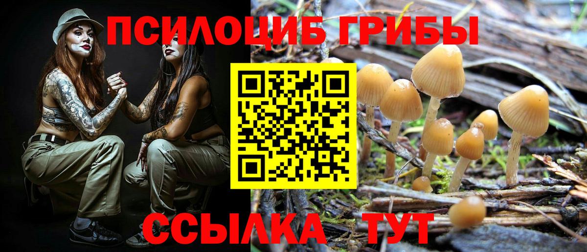 Галлюциногенные грибы мицелий Бирск